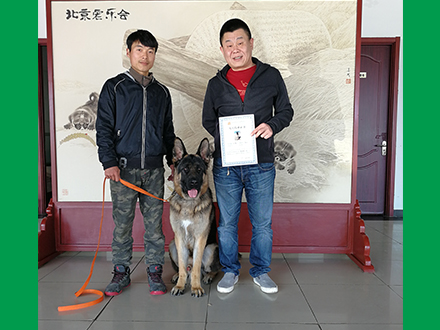 工程案例三