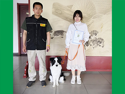 工程案例四