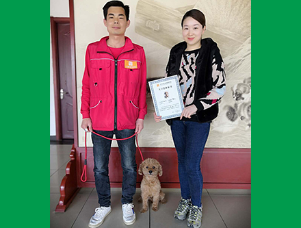 <b>制作营销型网站之前需明确五大要素</b>