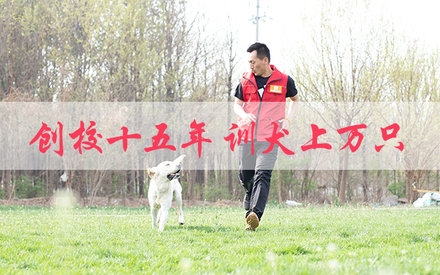 移动端幻灯2
